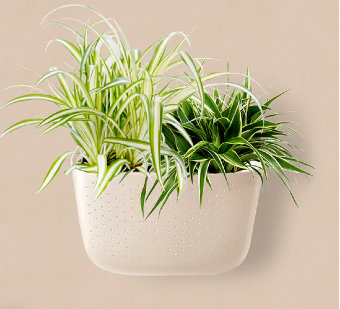 Wallygrow Eco Planters