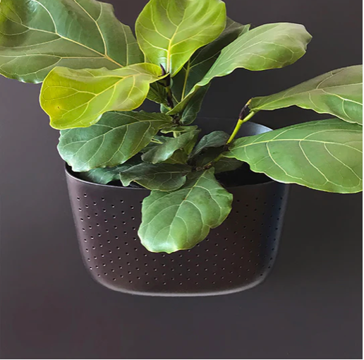 Wallygrow Eco Planters